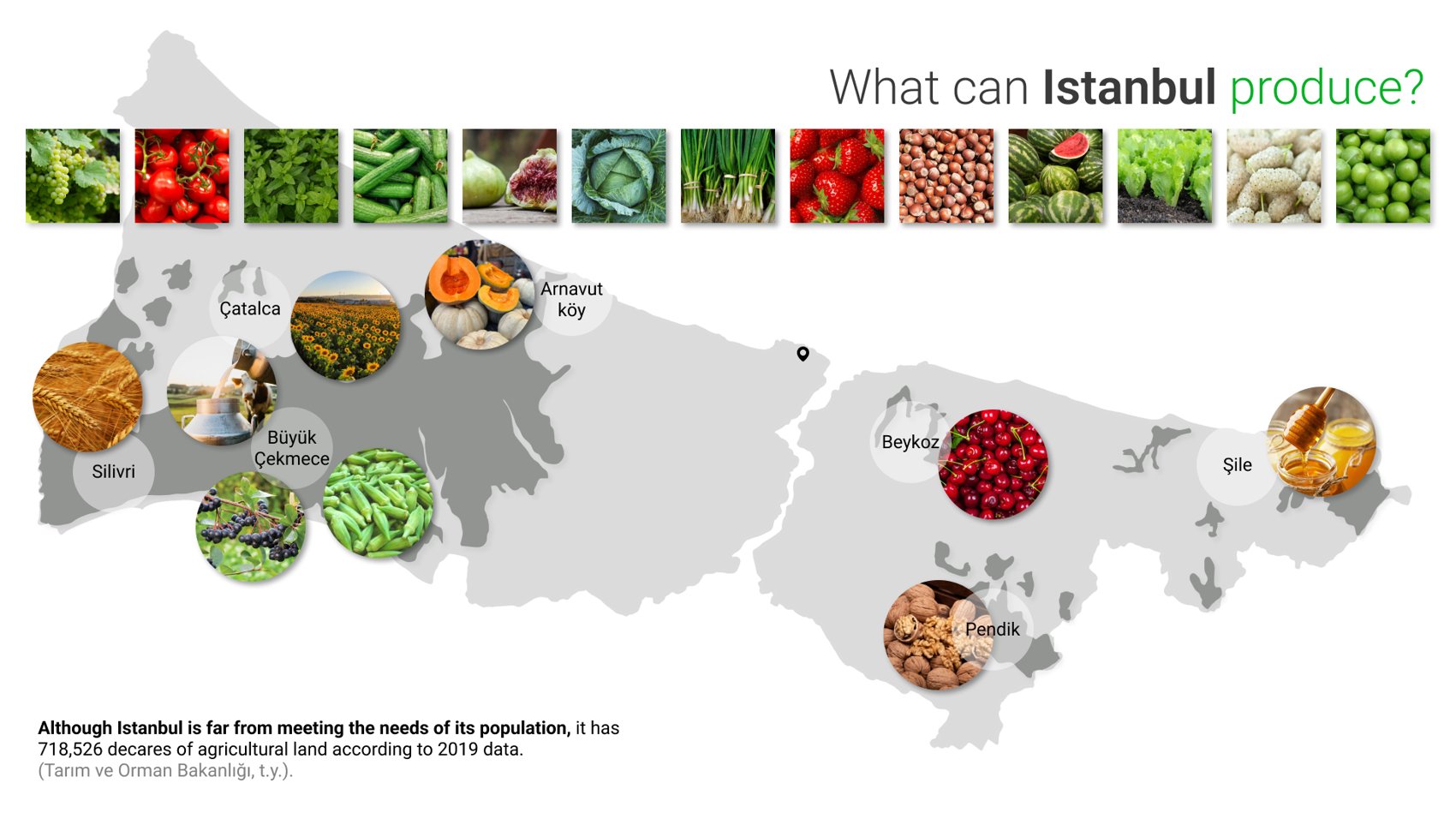 What Istanbul can produce
