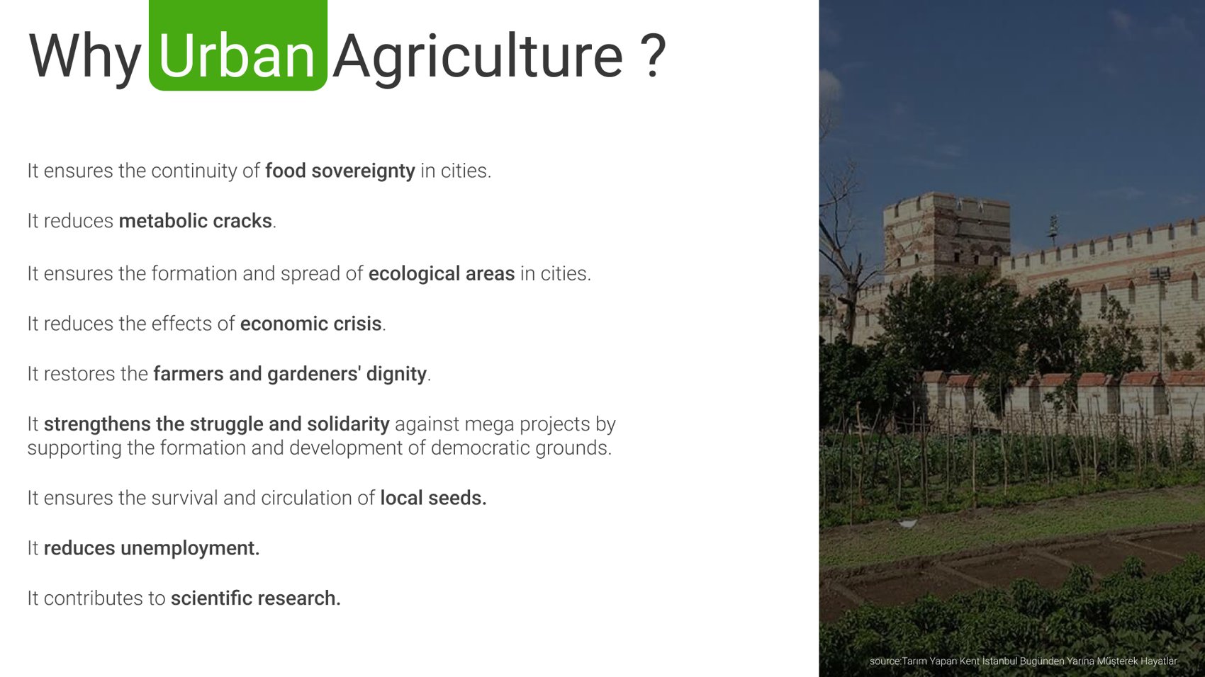 Why urban agriculture — research